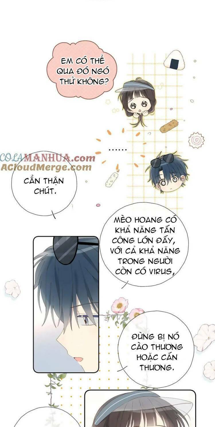 Anh Ấy Rất Hay Trêu Chọc Tôi: Chapter 71
