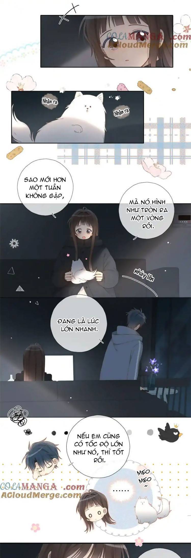 Anh Ấy Rất Hay Trêu Chọc Tôi: Chapter 81