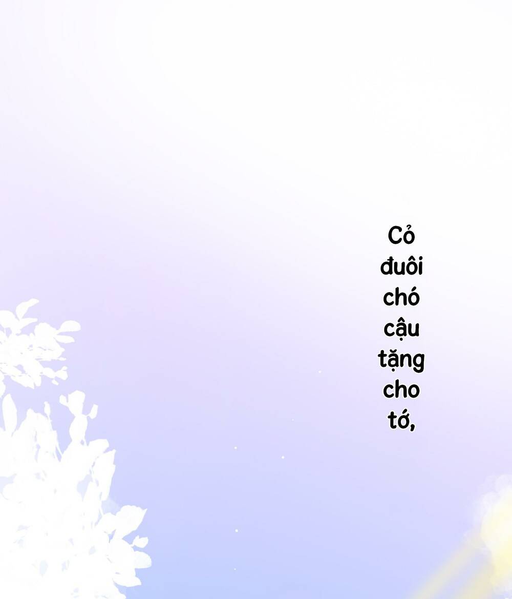 Ánh Sao Trôi Dạt Giữa Làn Nước: Chapter 11