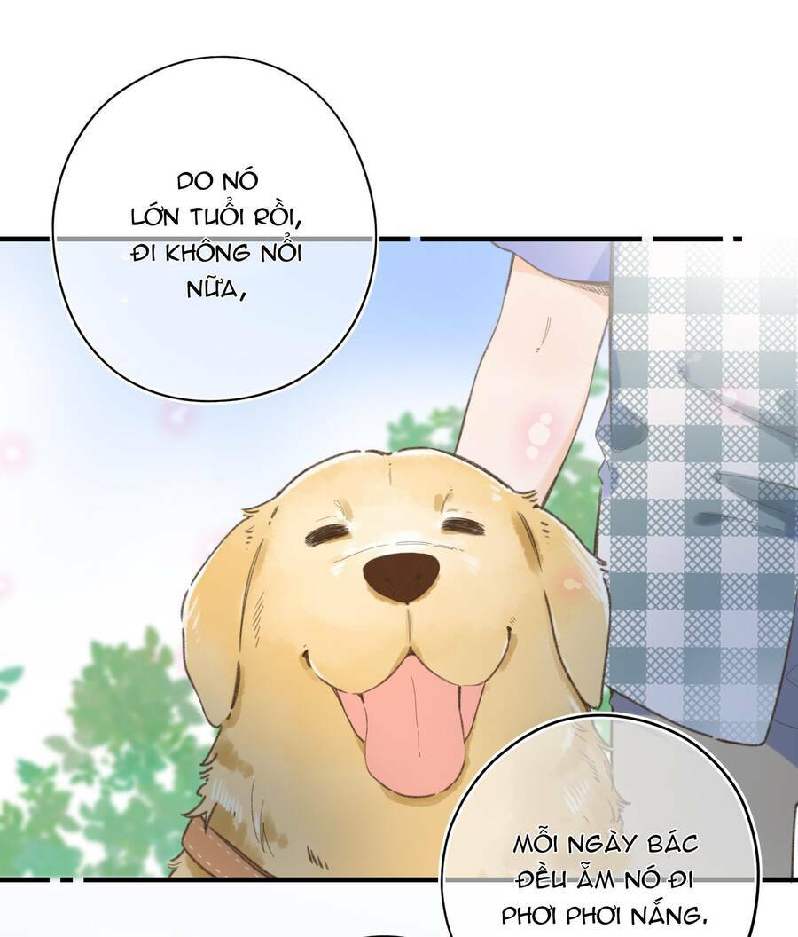Ánh Sao Trôi Dạt Giữa Làn Nước: Chapter 36