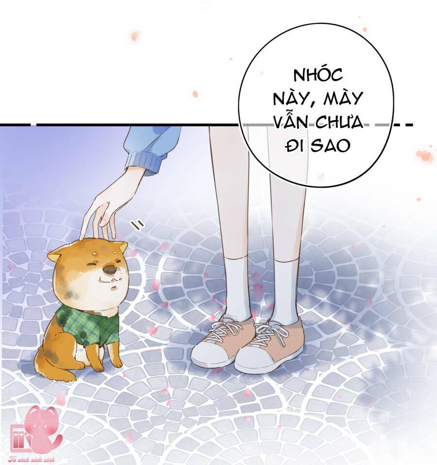 Ánh Sao Trôi Dạt Giữa Làn Nước: Chapter 37
