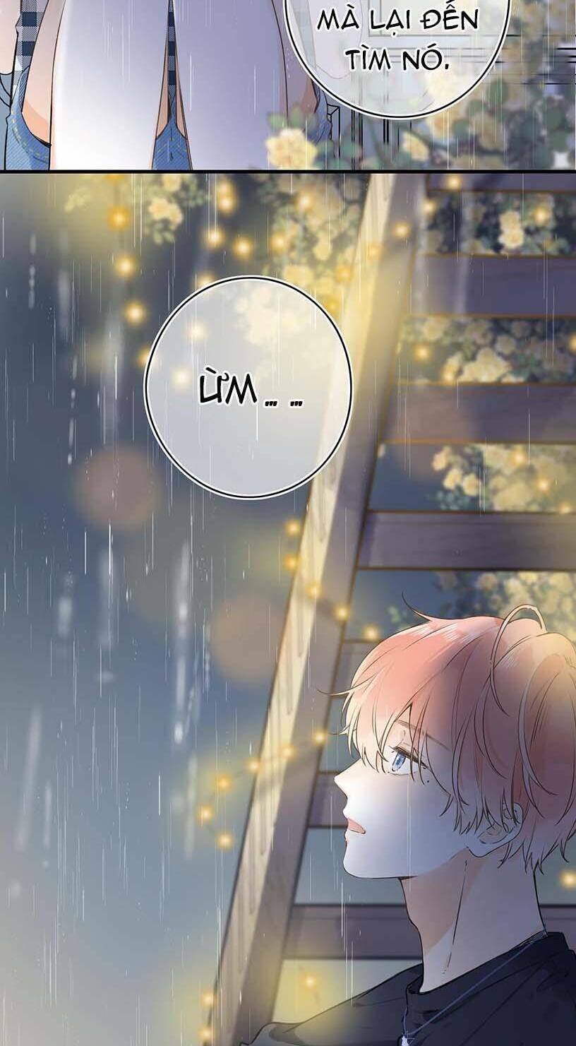 Ánh Sao Trôi Dạt Giữa Làn Nước: Chapter 39