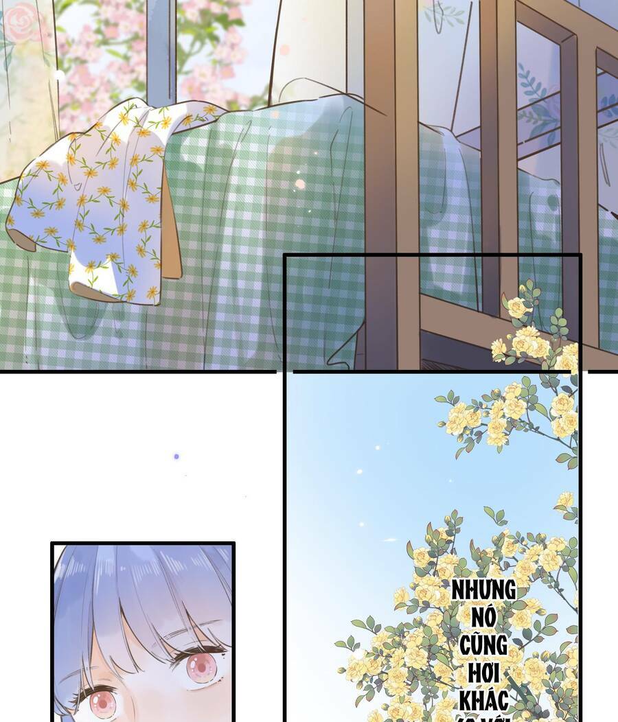 Ánh Sao Trôi Dạt Giữa Làn Nước: Chapter 42.2
