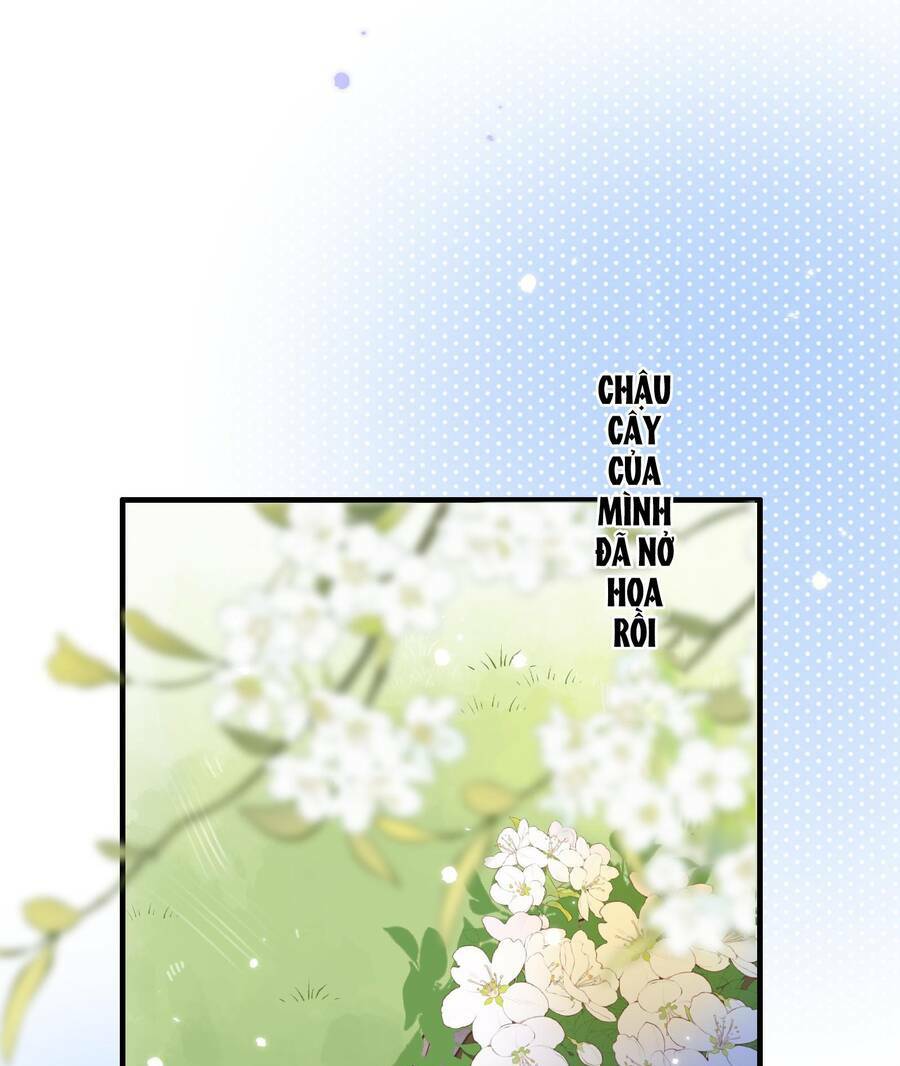 Ánh Sao Trôi Dạt Giữa Làn Nước: Chapter 42.2