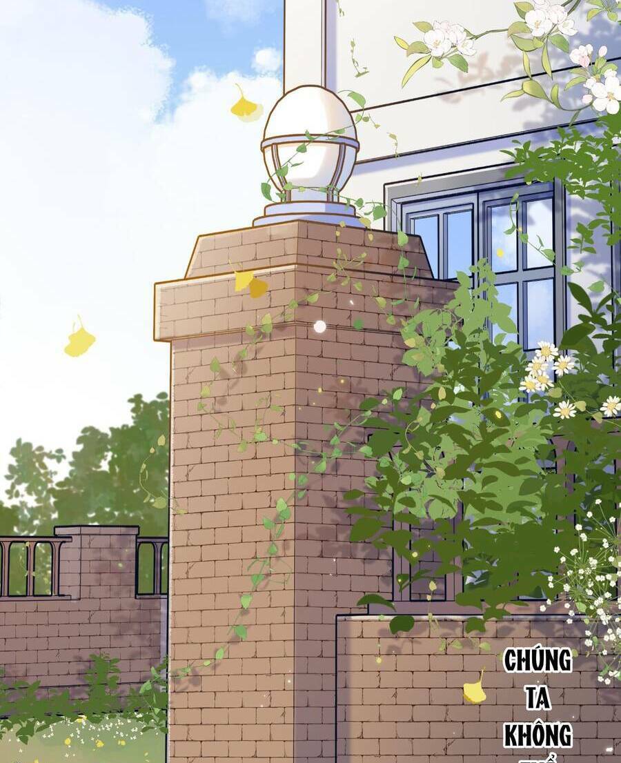 Ánh Sao Trôi Dạt Giữa Làn Nước: Chapter 65