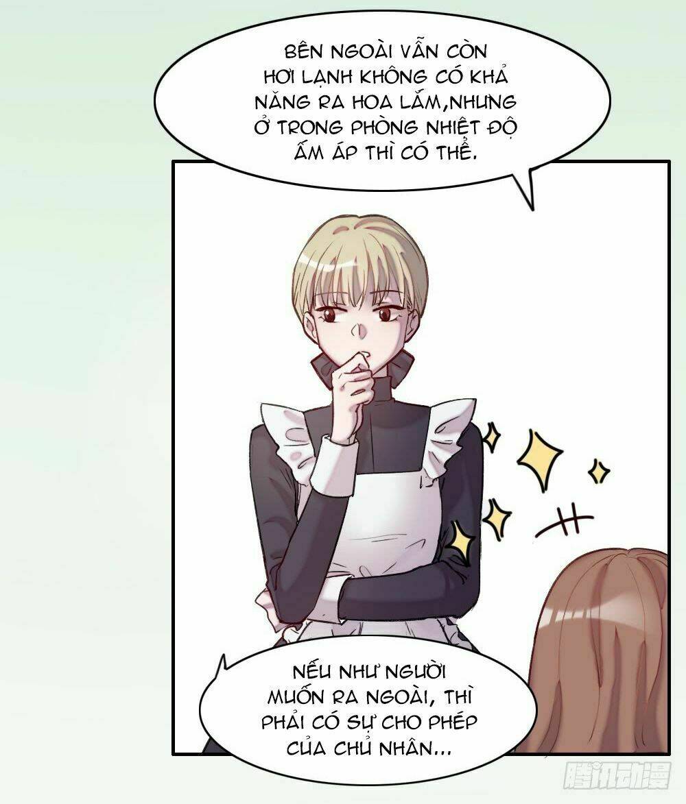 Anh Trai Ma Cà Rồng Và Bạn Trai Người Sói Của Tôi: Chapter 1