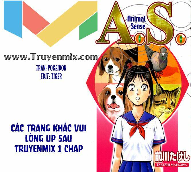 Animal Sense: Chapter 3