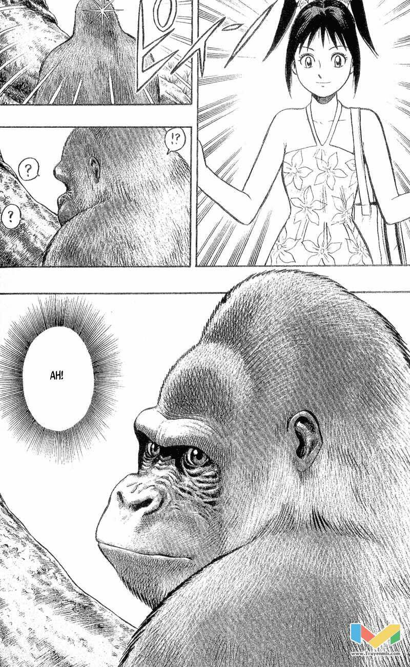 Animal Sense: Chapter 3