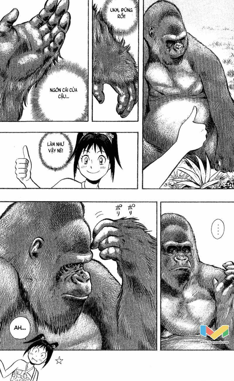 Animal Sense: Chapter 3