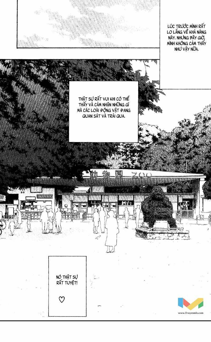 Animal Sense: Chapter 3