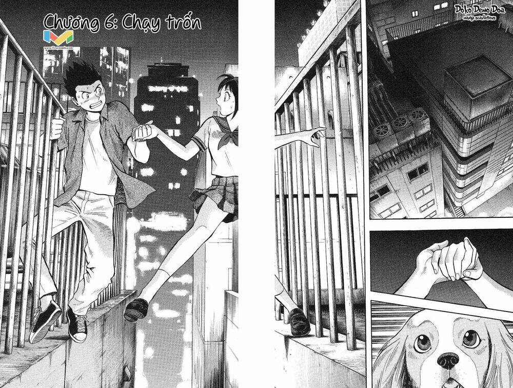 Animal Sense: Chapter 6