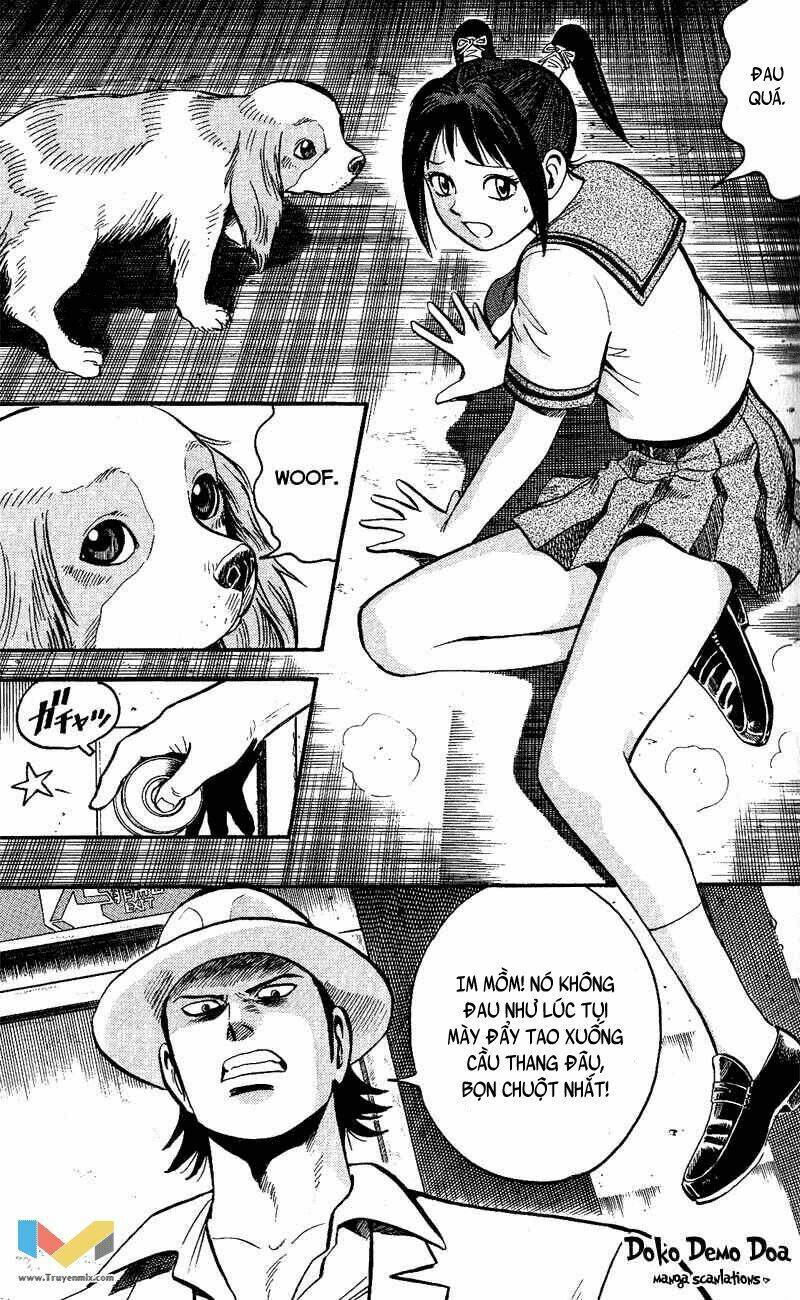 Animal Sense: Chapter 6