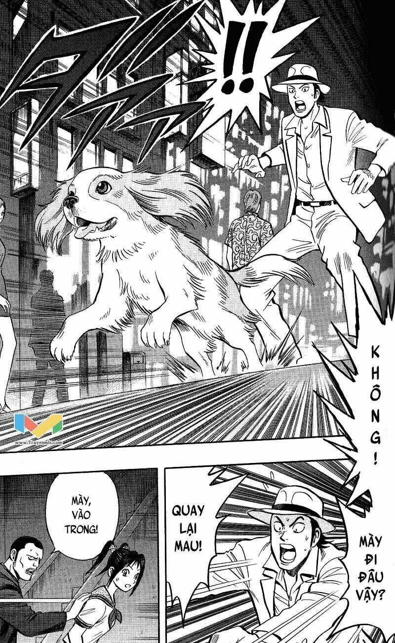Animal Sense: Chapter 6