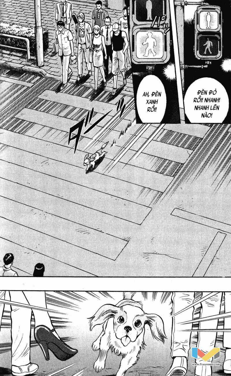 Animal Sense: Chapter 6