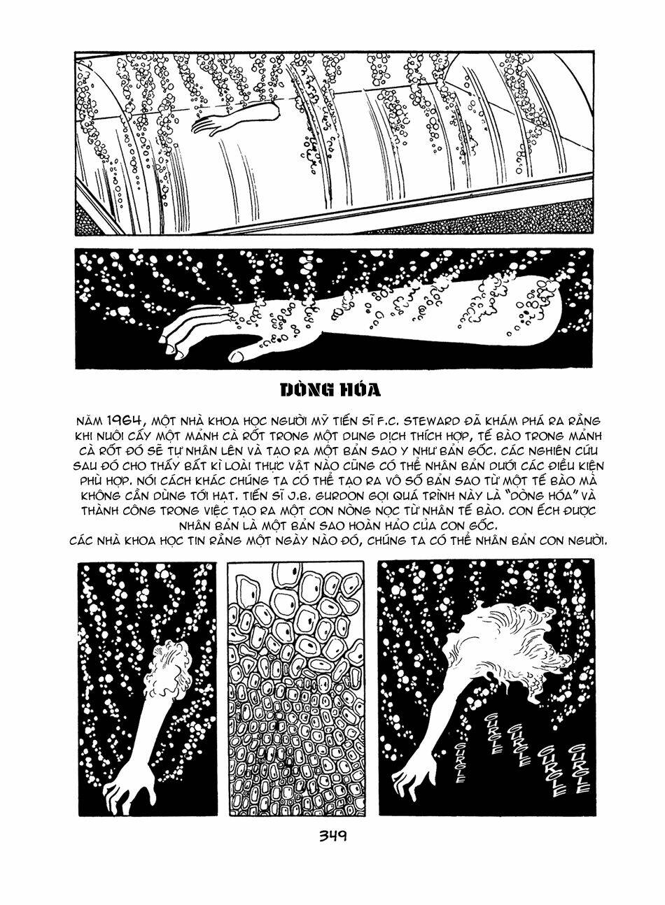 Apollo\’s Song: Chapter 4.3