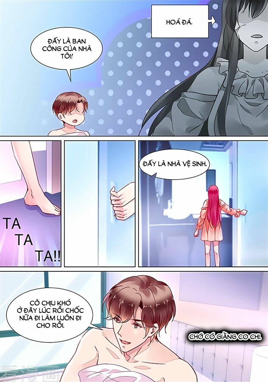 Bá Tình Ác Thiếu: Dạy Bảo Tiểu Đào Thê 2: Chapter 17