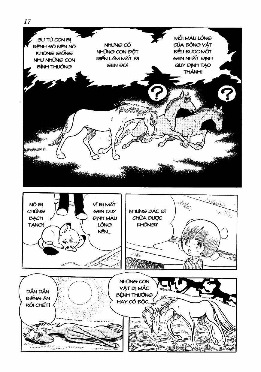 Bác Sĩ Quái Dị: Chapter 69