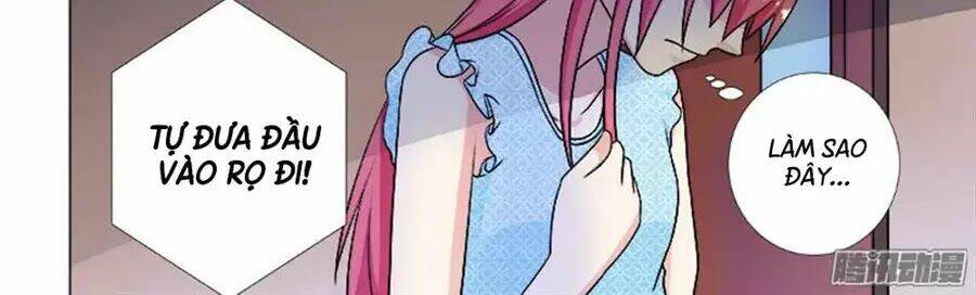 Bạn Trai Hắc Đạo Của Tôi: Chapter 258