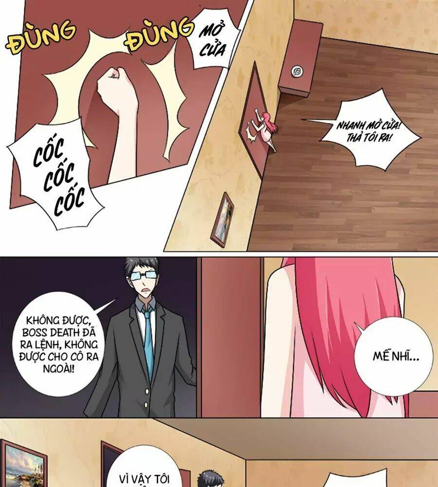 Bạn Trai Hắc Đạo Của Tôi: Chapter 258