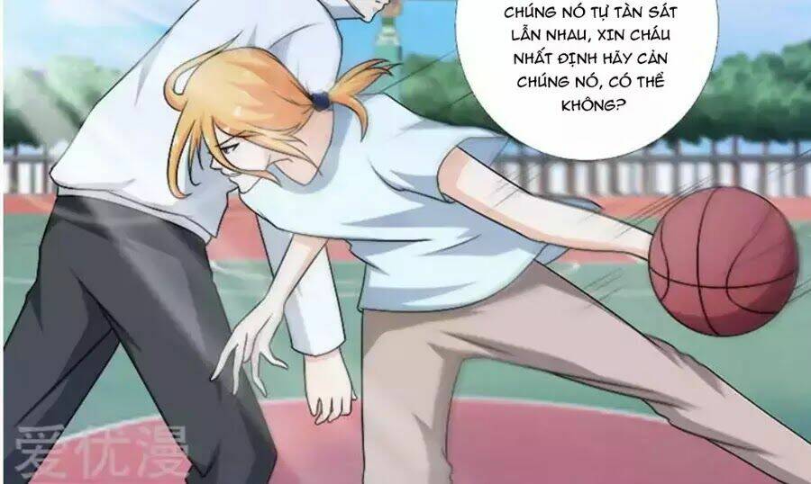 Bạn Trai Hắc Đạo Của Tôi: Chapter 273
