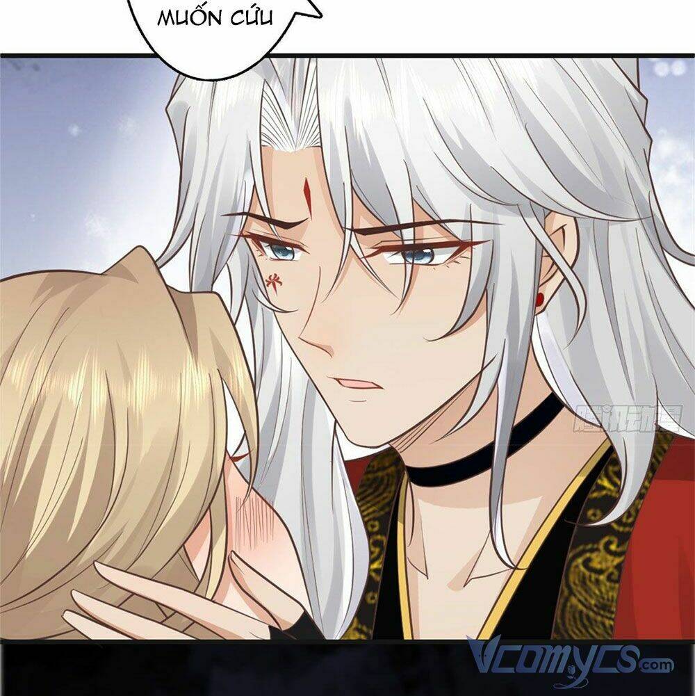 Bệnh Kiều Vương Gia Dựa Vào Ta Để Tiếp Tục Sống: Chapter 22