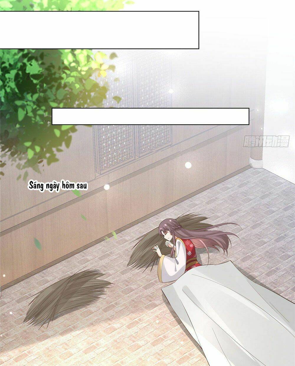 Bệnh Kiều Vương Gia Dựa Vào Ta Để Tiếp Tục Sống: Chapter 25