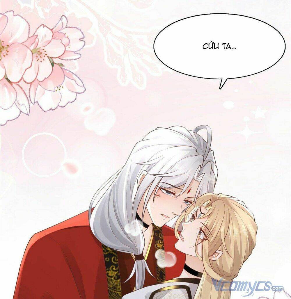 Bệnh Kiều Vương Gia Dựa Vào Ta Để Tiếp Tục Sống: Chapter 39
