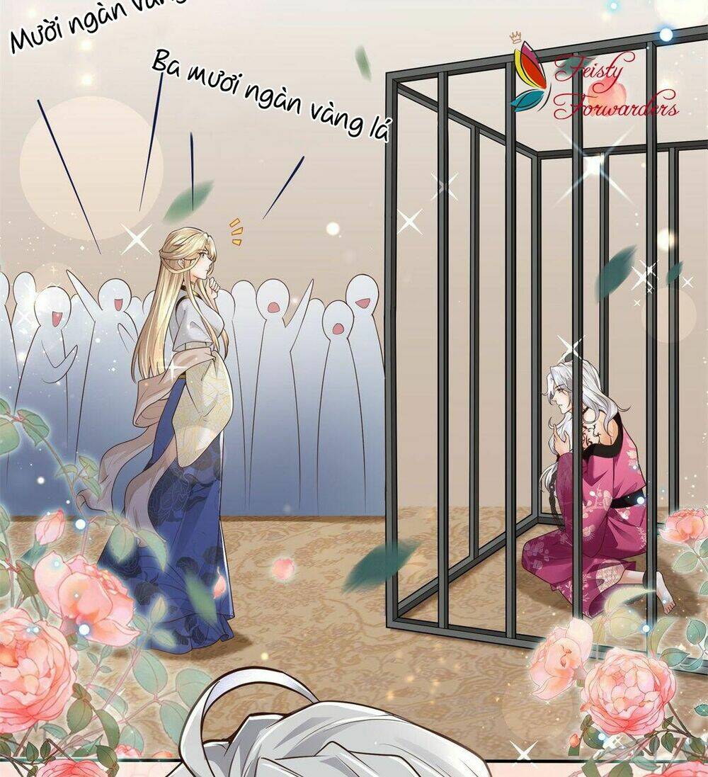 Bệnh Kiều Vương Gia Dựa Vào Ta Để Tiếp Tục Sống: Chapter 4