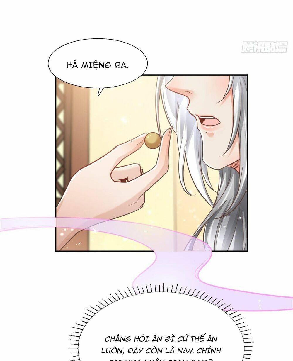 Bệnh Kiều Vương Gia Dựa Vào Ta Để Tiếp Tục Sống: Chapter 4