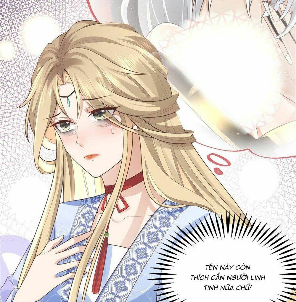Bệnh Kiều Vương Gia Dựa Vào Ta Để Tiếp Tục Sống: Chapter 40