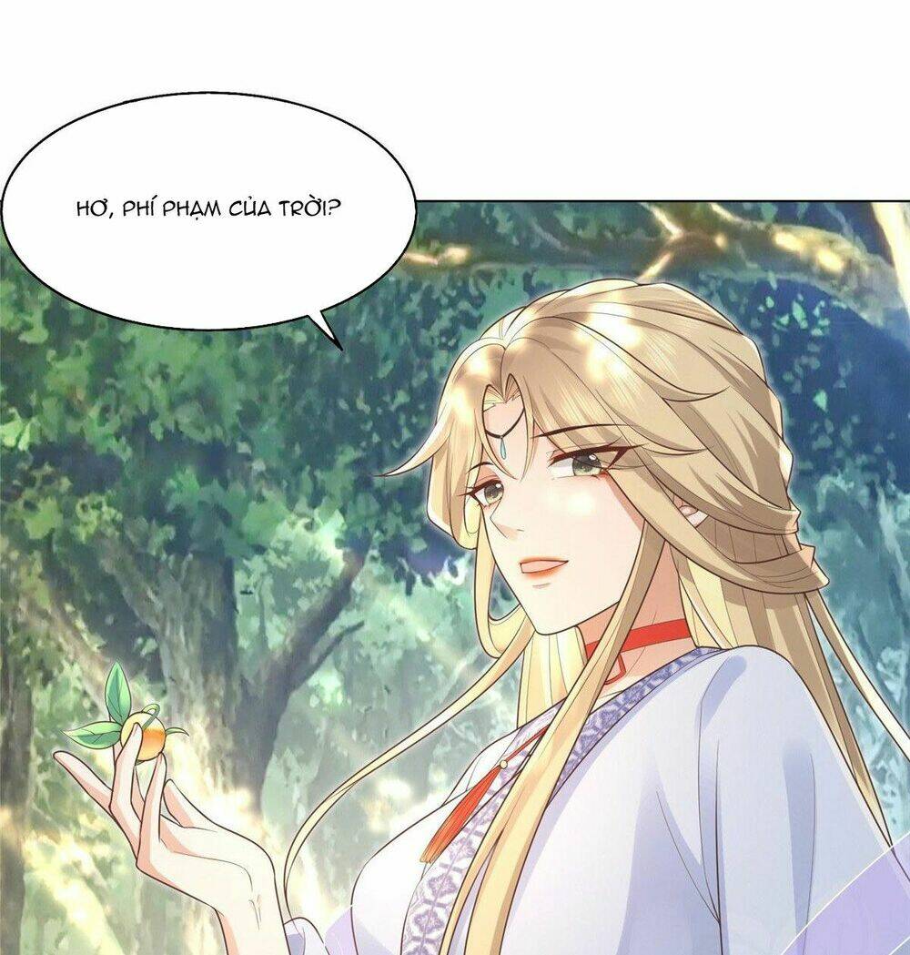Bệnh Kiều Vương Gia Dựa Vào Ta Để Tiếp Tục Sống: Chapter 41