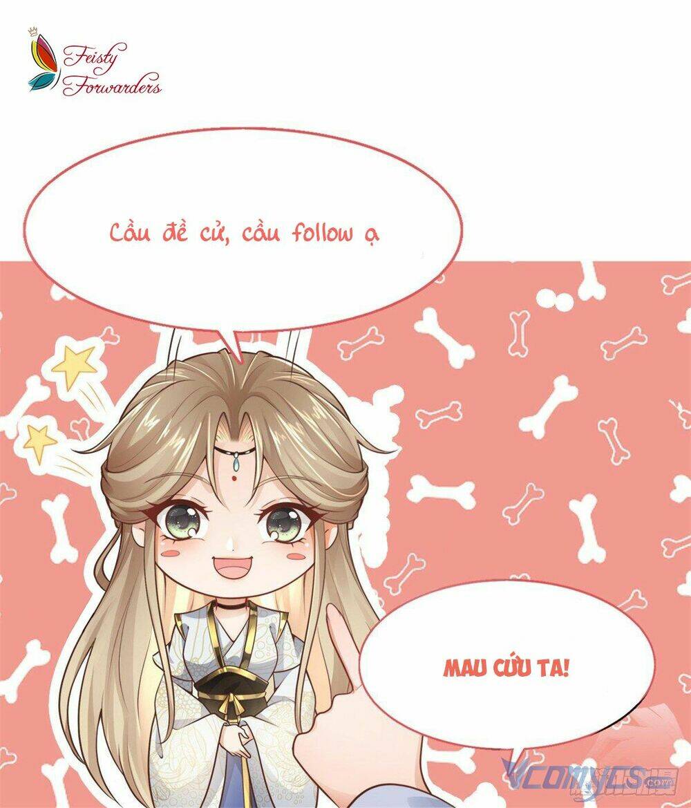 Bệnh Kiều Vương Gia Dựa Vào Ta Để Tiếp Tục Sống: Chapter 5