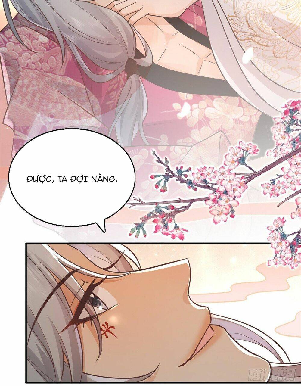 Bệnh Kiều Vương Gia Dựa Vào Ta Để Tiếp Tục Sống: Chapter 5