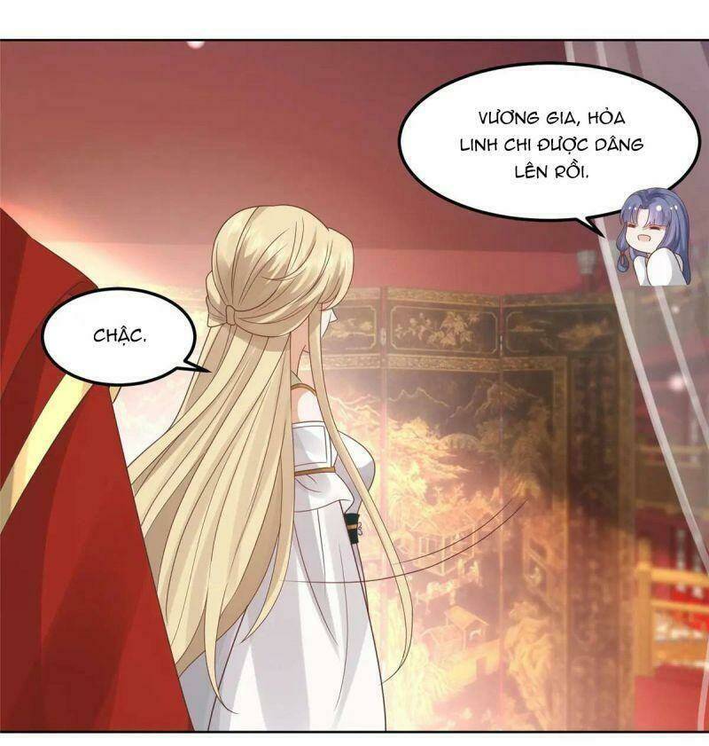 Bệnh Kiều Vương Gia Dựa Vào Ta Để Tiếp Tục Sống: Chapter 65