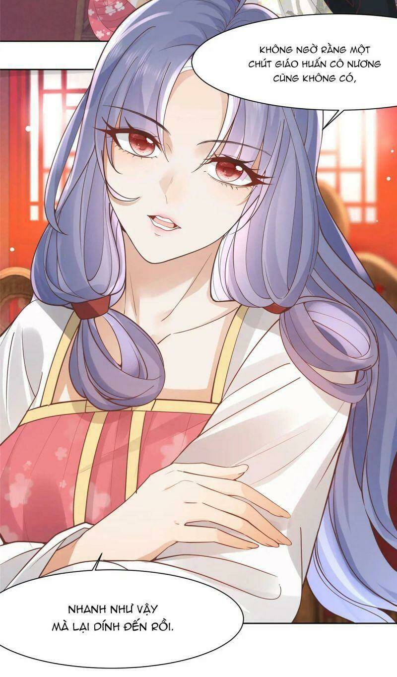 Bệnh Kiều Vương Gia Dựa Vào Ta Để Tiếp Tục Sống: Chapter 65