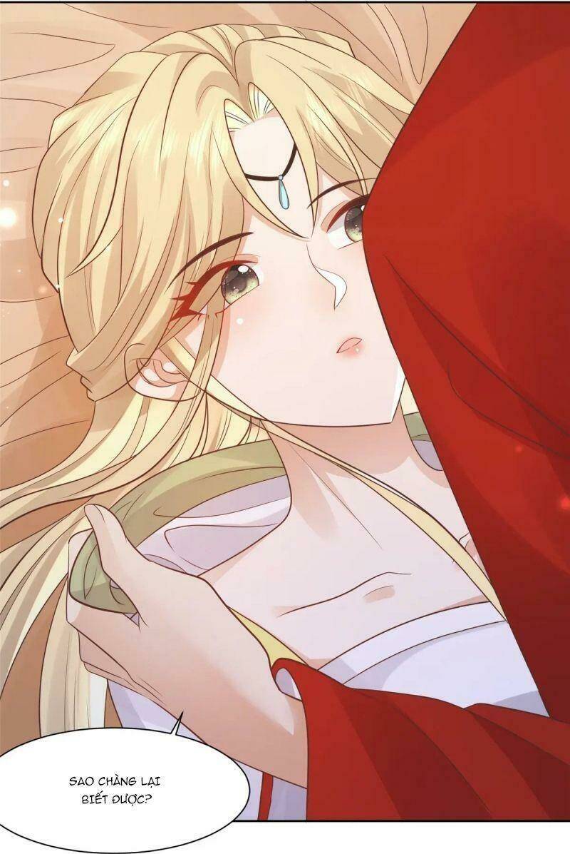 Bệnh Kiều Vương Gia Dựa Vào Ta Để Tiếp Tục Sống: Chapter 66