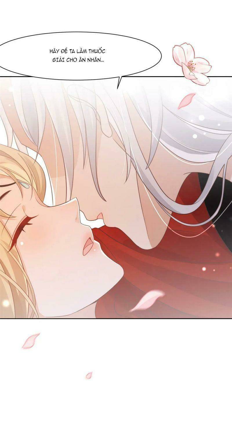 Bệnh Kiều Vương Gia Dựa Vào Ta Để Tiếp Tục Sống: Chapter 66