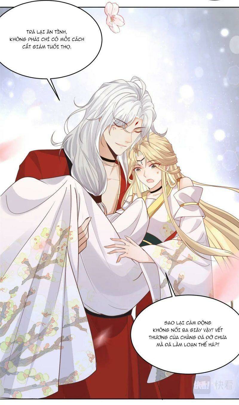 Bệnh Kiều Vương Gia Dựa Vào Ta Để Tiếp Tục Sống: Chapter 67
