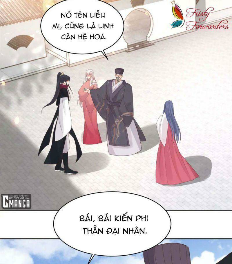 Bệnh Kiều Vương Gia Dựa Vào Ta Để Tiếp Tục Sống: Chapter 68