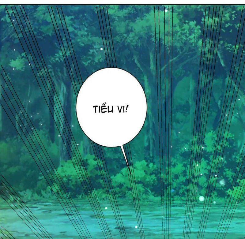 Bệnh Kiều Vương Gia Dựa Vào Ta Để Tiếp Tục Sống: Chapter 70