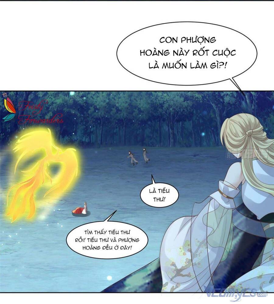 Bệnh Kiều Vương Gia Dựa Vào Ta Để Tiếp Tục Sống: Chapter 71