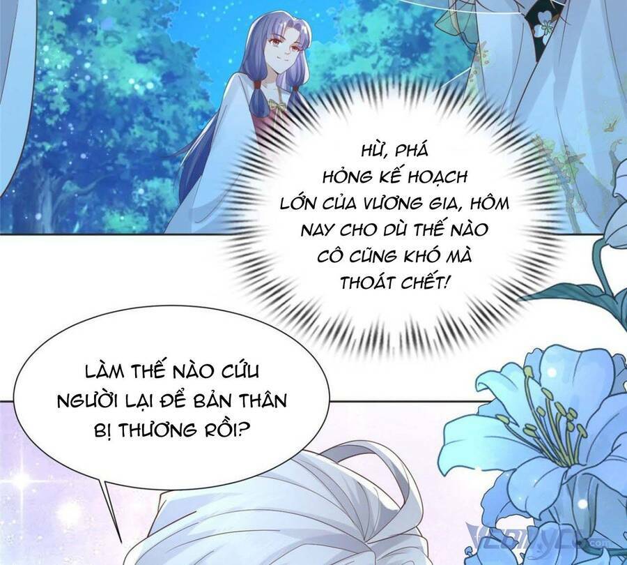 Bệnh Kiều Vương Gia Dựa Vào Ta Để Tiếp Tục Sống: Chapter 71