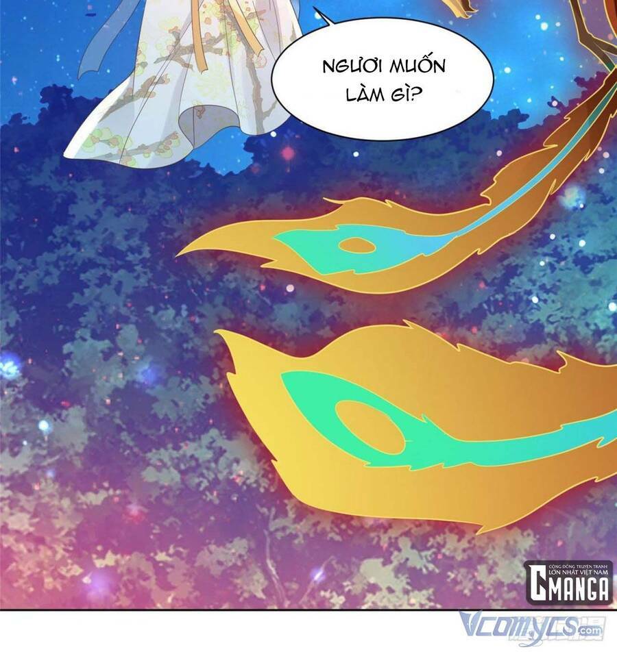Bệnh Kiều Vương Gia Dựa Vào Ta Để Tiếp Tục Sống: Chapter 71