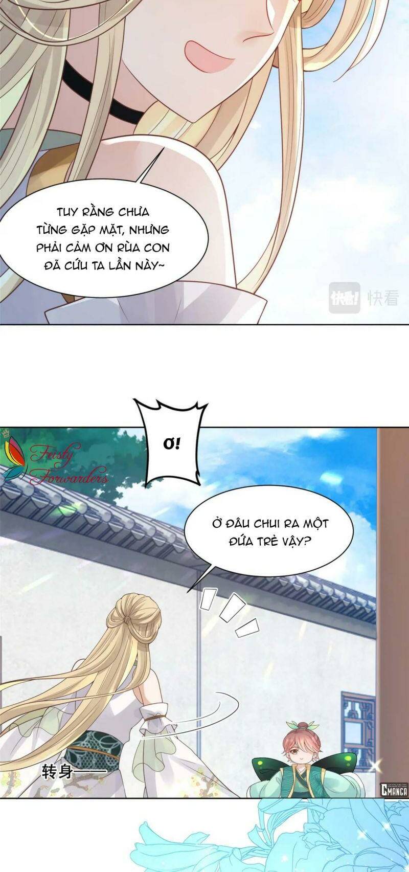 Bệnh Kiều Vương Gia Dựa Vào Ta Để Tiếp Tục Sống: Chapter 76