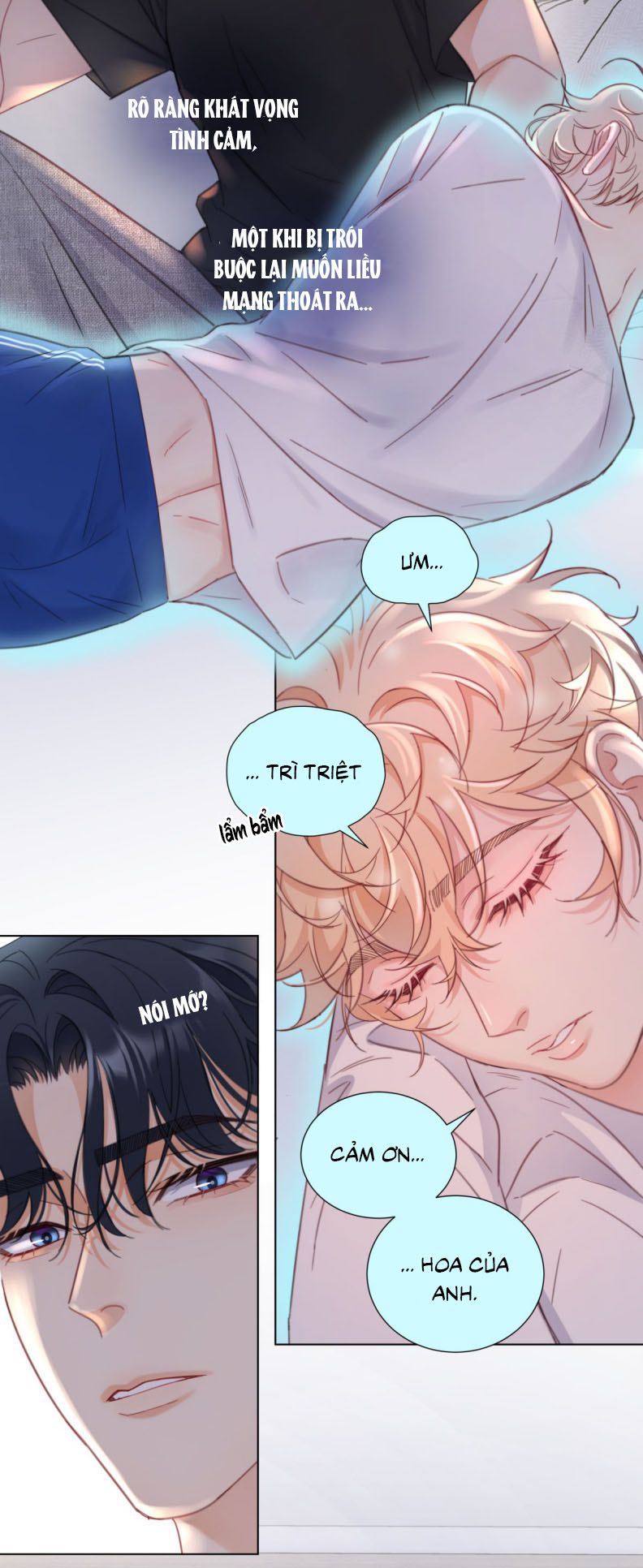 Bị Công Lược 100%: Chapter 10