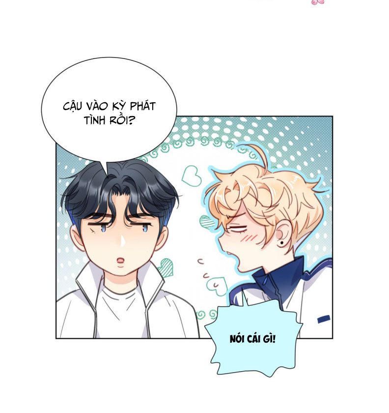 Bị Công Lược 100%: Chapter 5
