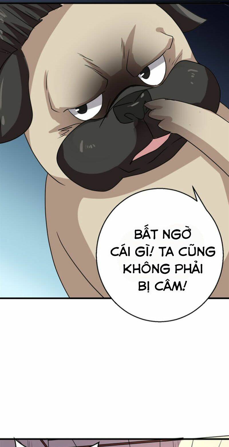 Bị Ép Trở Thành Mạnh Nhất Thế Giới: Chapter 13
