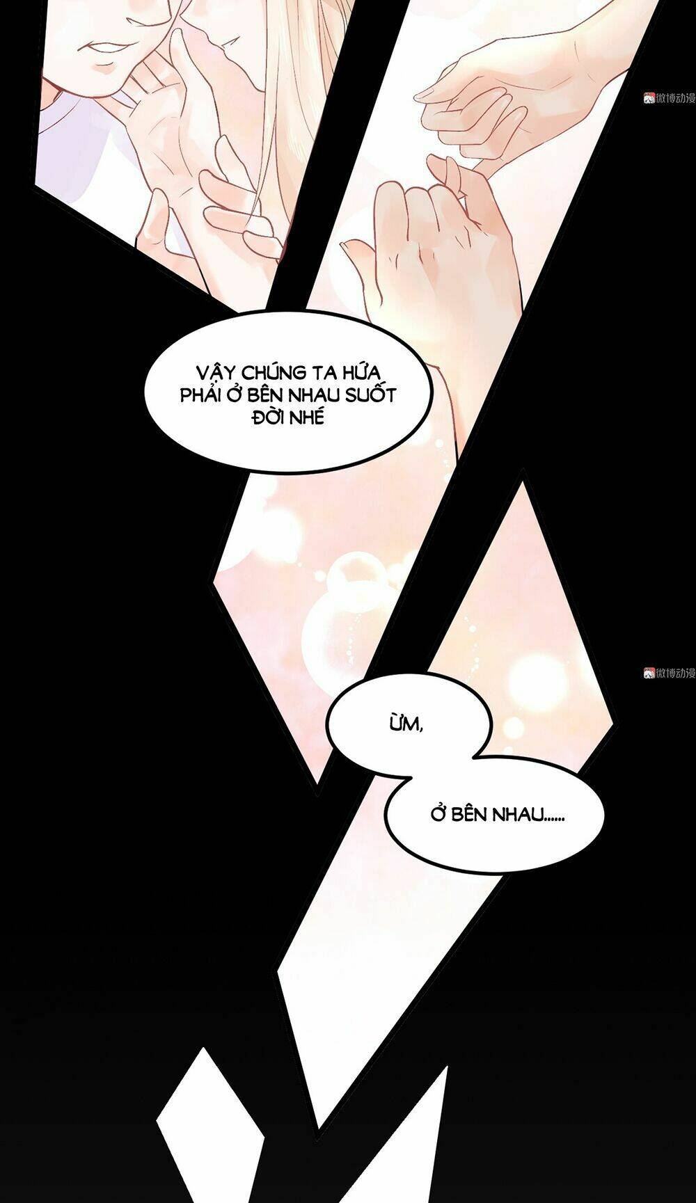 Bọn Họ Đều Muốn Gả Cho Tôi Làm Sao Đây?: Chapter 2