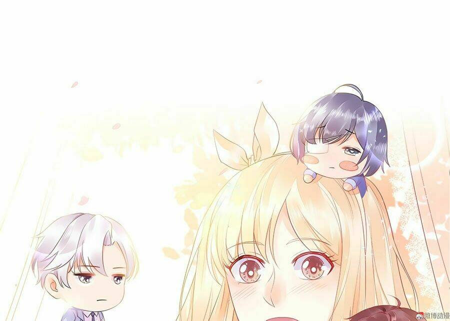 Bọn Họ Đều Muốn Gả Cho Tôi Làm Sao Đây?: Chapter 6