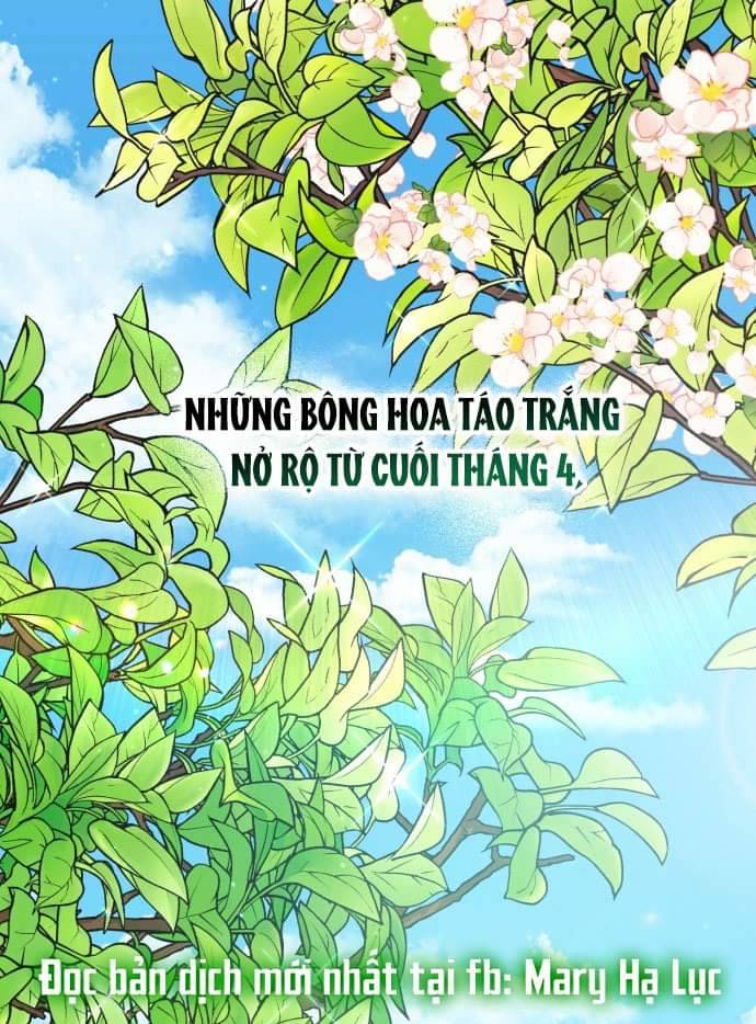 Bóng Râm Mùa Xuân: Chapter 1